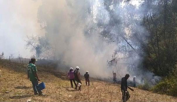 Presentarán propuestas de restitución deáreas afectadas por incendio forestal en Lambayeque