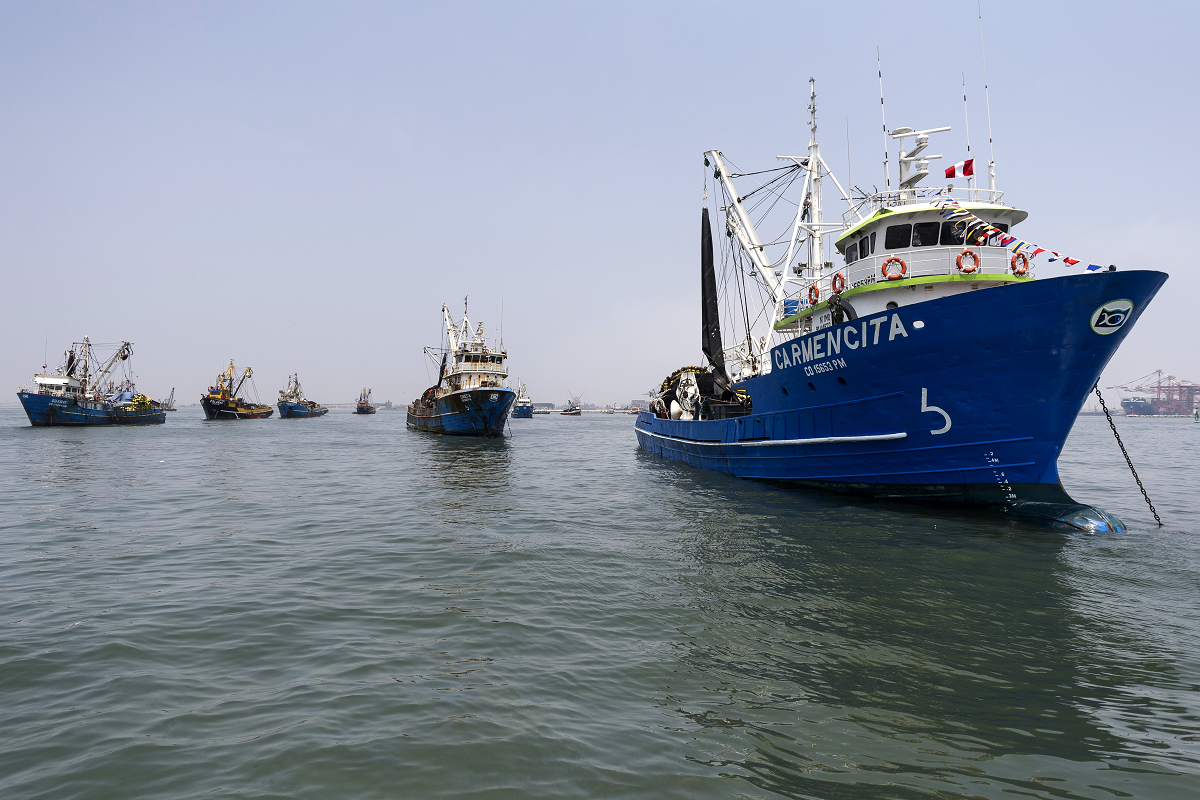 SNP: “Nuevos derechos de pesca restan competitividad a la industria"