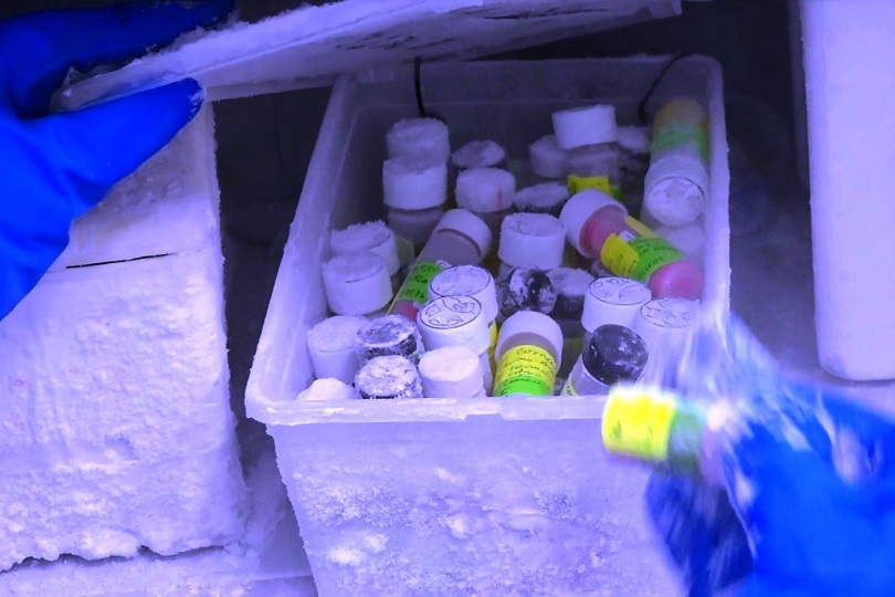 Transfieren más de S/ 42 millones a EsSalud para almacenamiento de vacunas covid-19