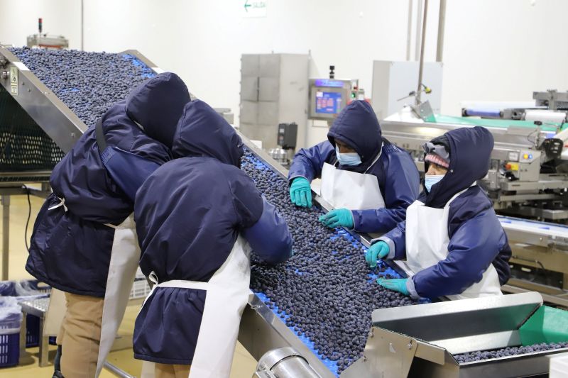 Empleos directos asociados a exportaciones crecieron a doble dígito