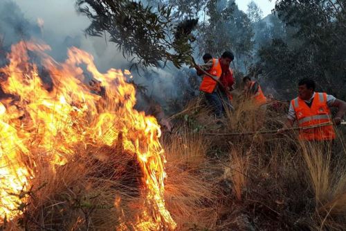 ¿Qué daños provocan los incendios forestales y cuántos se han registrado en Perú? 
