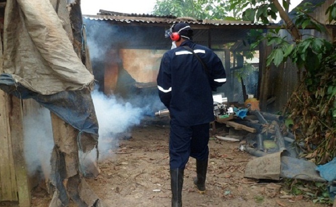 Fumigan centros poblados que registran alto índice de dengue en Lambayeque y La Libertad