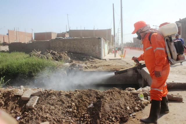 Municipio fumiga acequias en pueblos jóvenes de Chiclayo