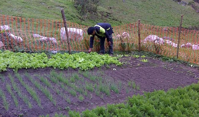 Foncodes financiará proyectos en centros poblados de Chiclayo y otras ciudades del país