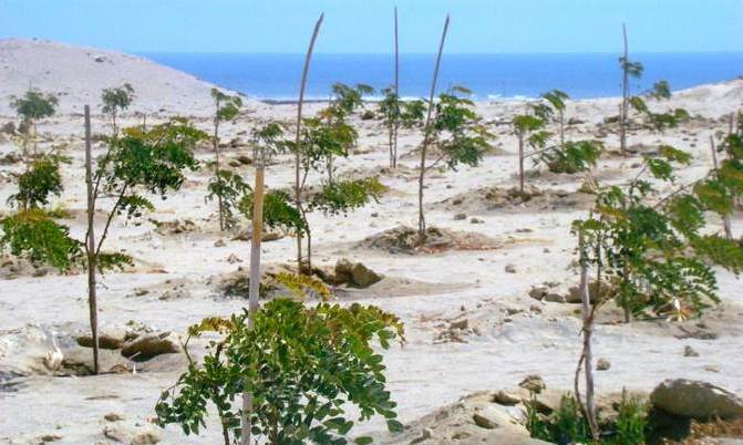 Unidad hidrográfica de Lambayeque consideradas en estado de emergencia de recursos hídricos