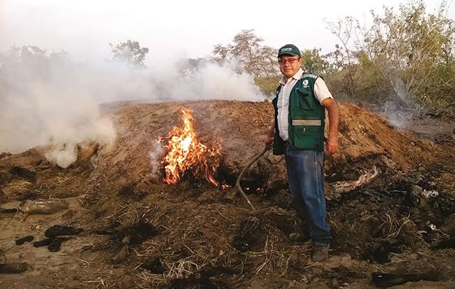 Chiclayo: descubren 73 hornos artesanales donde se producía carbón de algarrobo