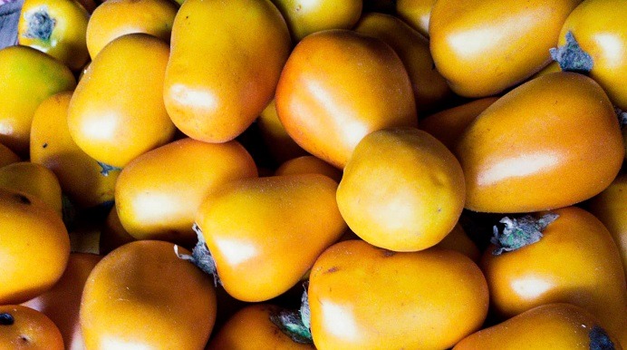 Inacal brinda requisitos de calidad de la cocona, cítrico típico de la Amazonía peruana  