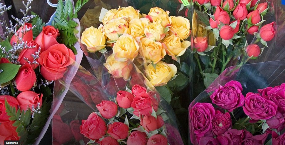 Estados Unidos es principal comprador de flores de la agricultura familiar de Perú