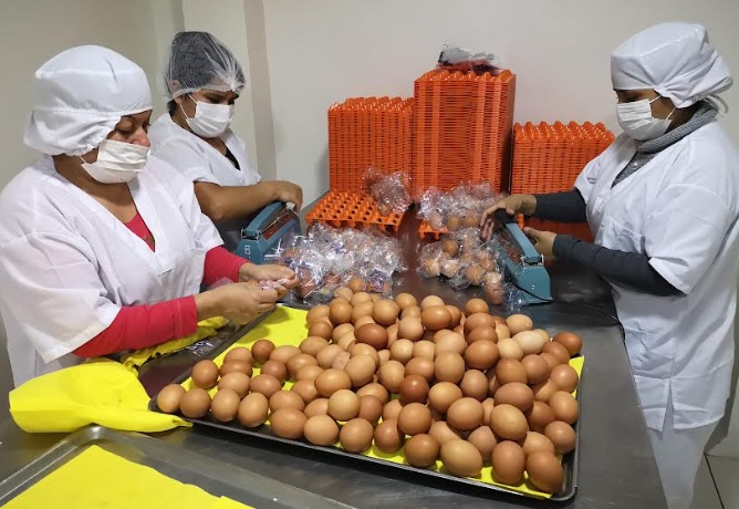 Qali Warma inició segunda convocatoria en modalidad raciones para asegurar servicio alimentario escolar