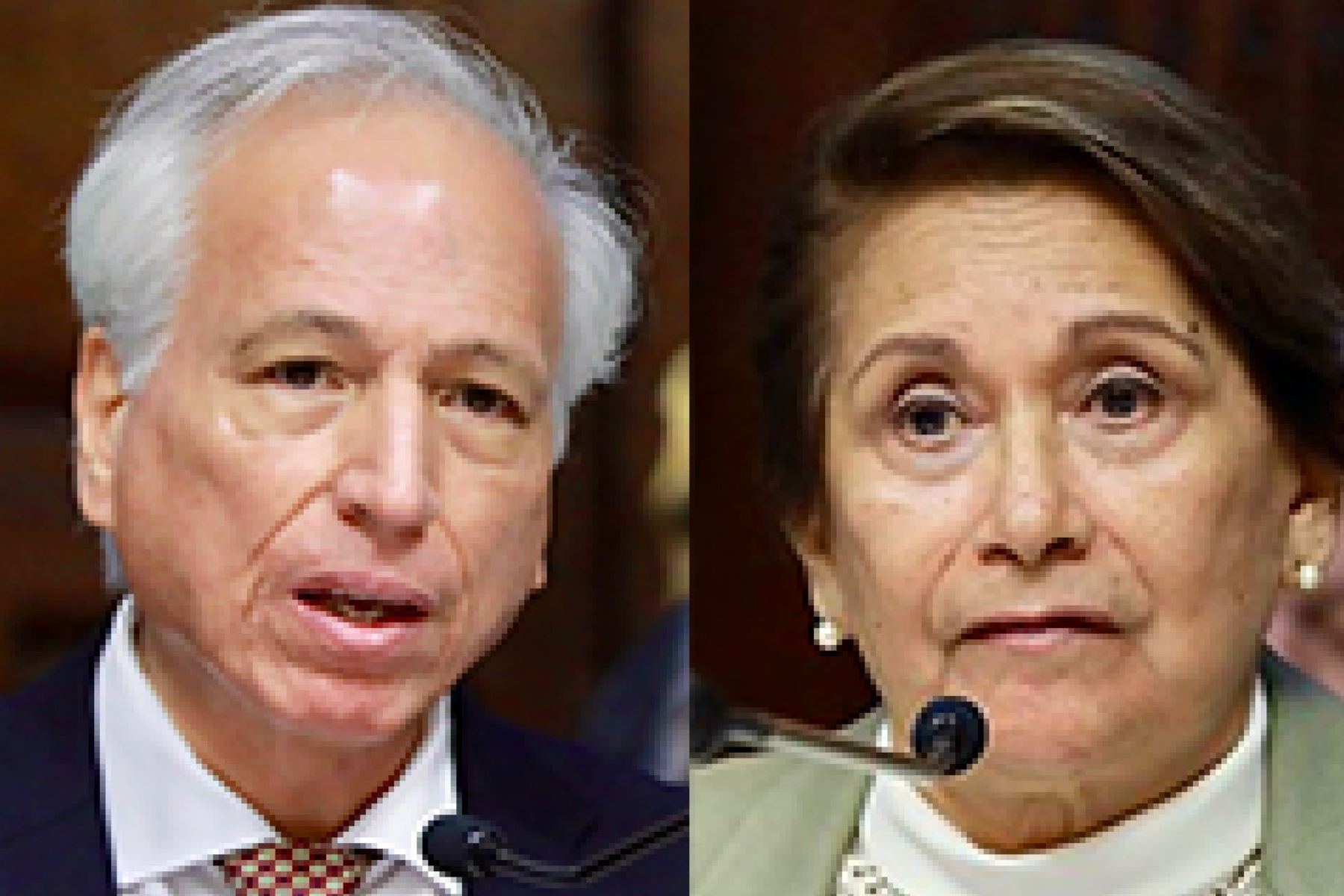 JNJ oficializa vacancia de Inés Tello y Aldo Vásquez como miembros 