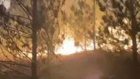 Lambayeque: incendio forestal arrasa más de 80 hectáreas en y amenaza caseríos cercanos