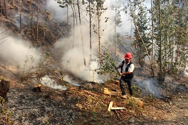 Lambayeque: incendio consume varias hectáreas de Refugio de Vida Silvestre de Laquipampa