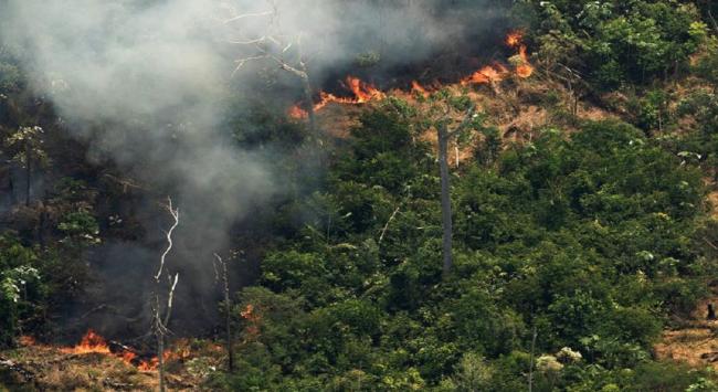 Amazonía entre incendios, soberanía e insurgencies