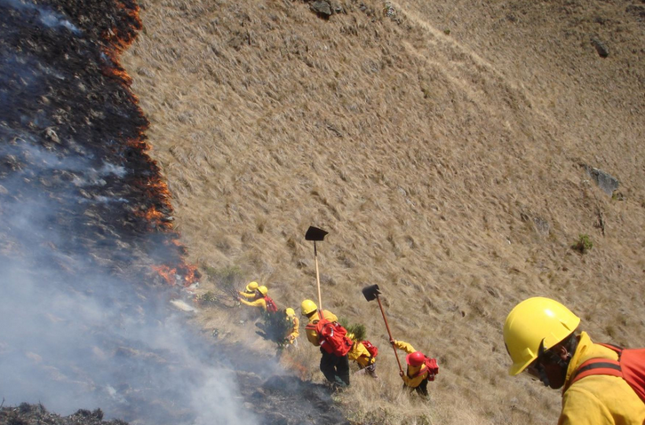 Lambayeque:  incendio forestal en Kañaris, Salas e Inkahuasi es controlado