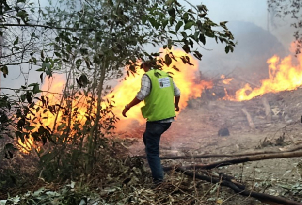 Piden intervención del Gobierno para combatir incendio forestal en Incahuasi, Cañaris y Salas