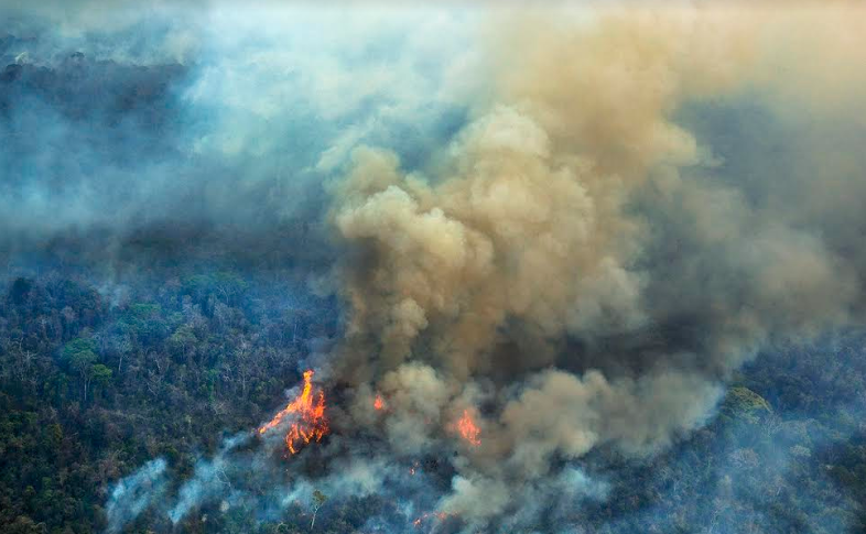 Celam se pronuncia incendio que consume la Amazonía: “Levantamos la voz por El Amazonas”