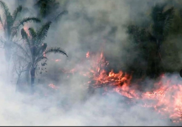 Hay 32 focos de incendios forestales en Lambayeque, según Indeci