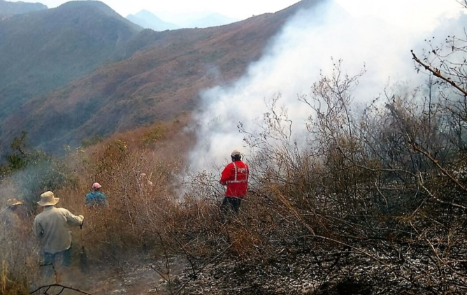 Acciones por incendios forestales verificó Ministerio Público en Penachí