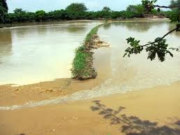 Dirigente indica que represa debe construirse en  el sector La Calzada 