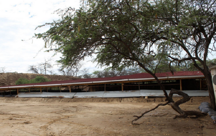 Piden apoyo para proteger Huaca Las Ventanas por incremento de caudal de río La Leche
