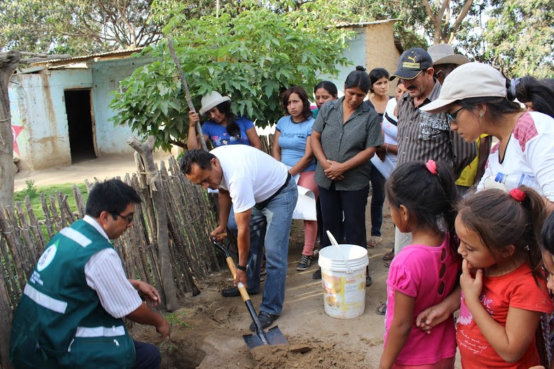 Plantaciones forestales buscan impulsar negocios sostenibles en la región Lambayeque