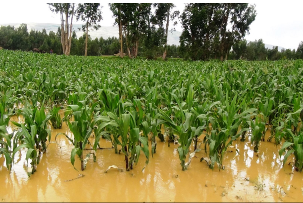 Alertan de lluvias “muy fuertes” en febrero y marzo en Lambayeque