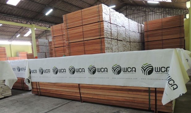 Envíos de madera iniciaron recuperación el 2021