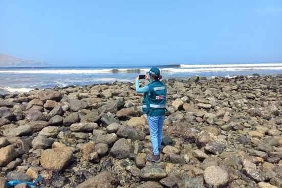 Derrame de Petróleo: ¿Cuál es el estado ambiental de la zona afectada?