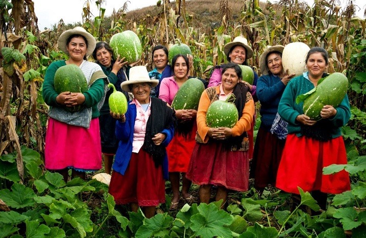 Más de 45,000 productores apuestan por la innovación agraria