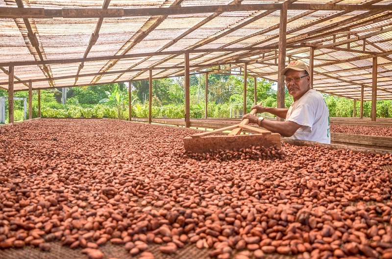 Más de 900 productores organizados comercian por S/ 2.3 millones en macro rueda de negocios 