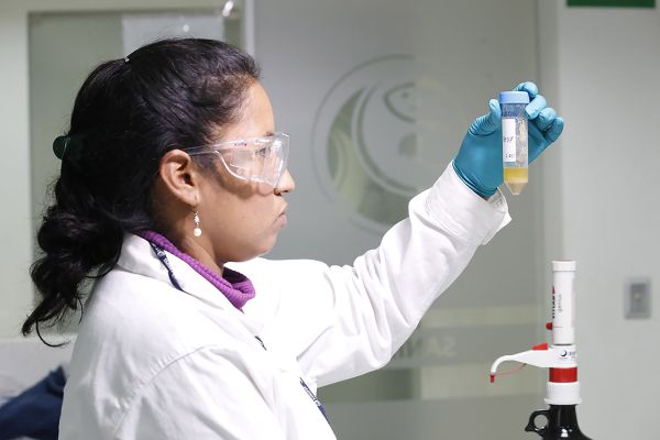 Acreditan a Sanipes como organismo inspector para fortalecer vigilancia sanitaria en el sector hidrobiológico  