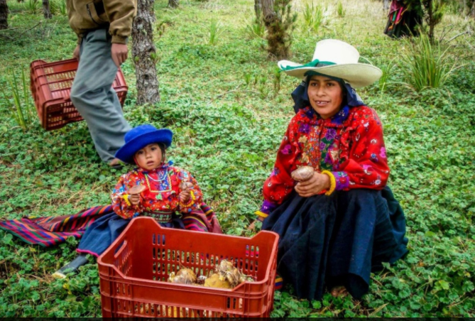 Mensajes sobre salud para gestantes se difundirán  en quechua en distritos andinos de Lambayeque