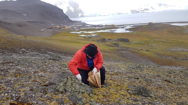 Minam fomenta aplicación de la tecnología para conservar glaciares y ecosistemas de montaña 