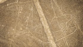 Líneas de Nasca en riesgo por la minería ilegal