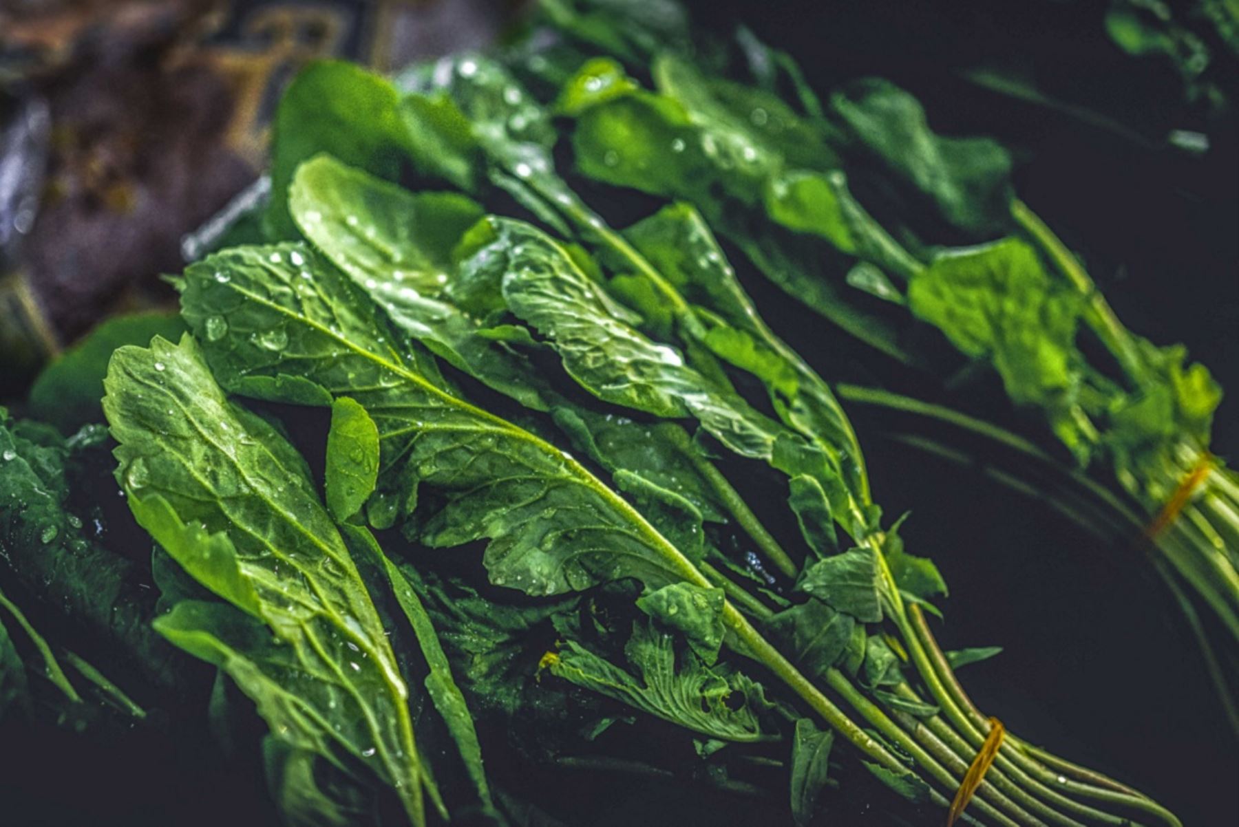 Aprueban nueva norma técnica peruana para la calidad de la espinaca