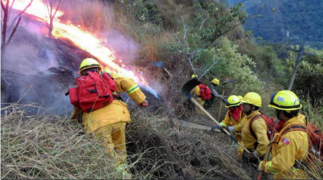 Nuevos brigadistas para sofocar incendios forestales habrá en Chiclayo, Ferreñafe y Lambayeque