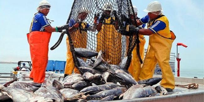 Objetivos pesqueros, o la falta de los mismos