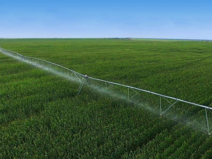 Irrigación en Olmos supera 6 000 hectáreas de cultivos