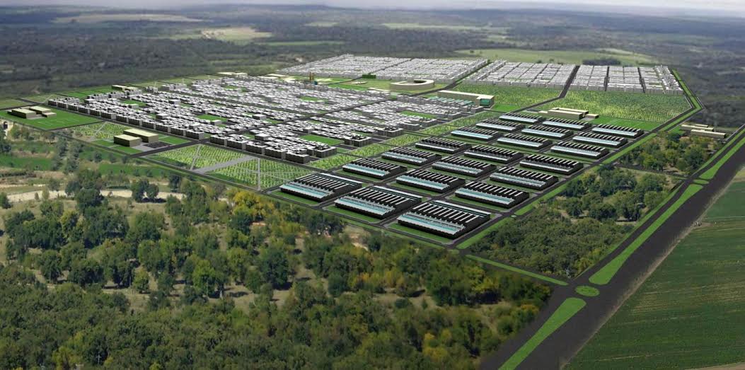 Cosechan primeras toneladas de cebolla y páprika en Olmos