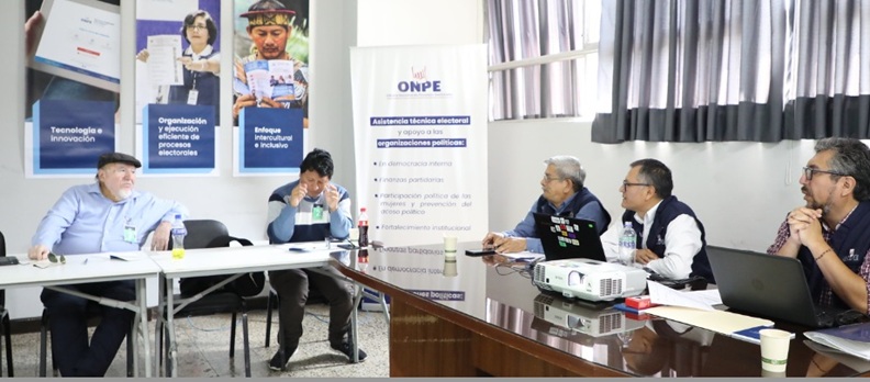 Partidos deben realizar elecciones primarias como establecen sus normas internas  