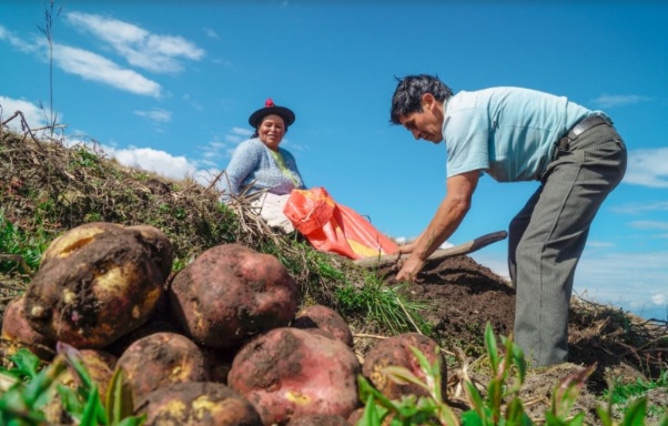 Sector agropecuario se expandió 3.7% en el primer trimestre del año