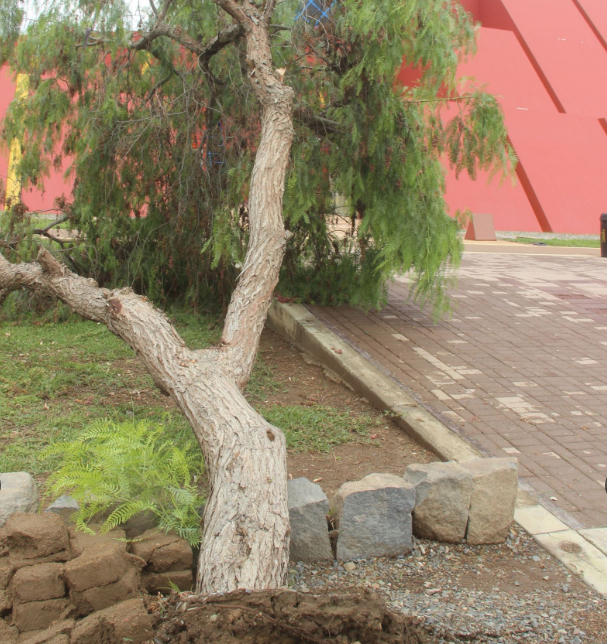 Patrimonio cultural de Lambayeque se afectaron por lluvias