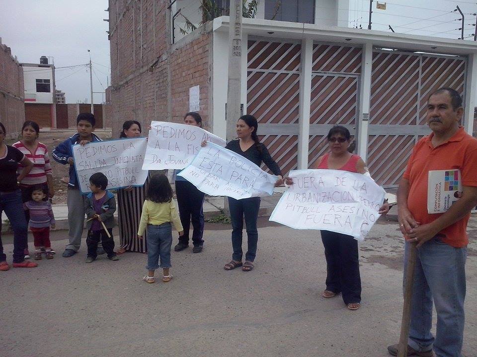 Perro pitbull ataca a vecinos de Santa Victoria