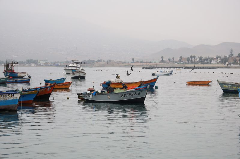 Más de mil pescadores artesanales accedieron al curso de formalización para obtener su carné
