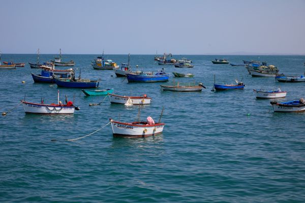 Otorgan cerca de S/ 22 millones de créditos a pescadores artesanales y acuicultores al tercer trimestre 2025