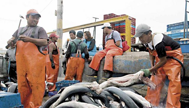 Lambayeque: en 29,1% incrementó desembarque de productos hidrobiológicos en marzo 