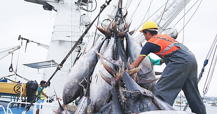 Produce emitió reglamento de ordenamiento pesquero del atún