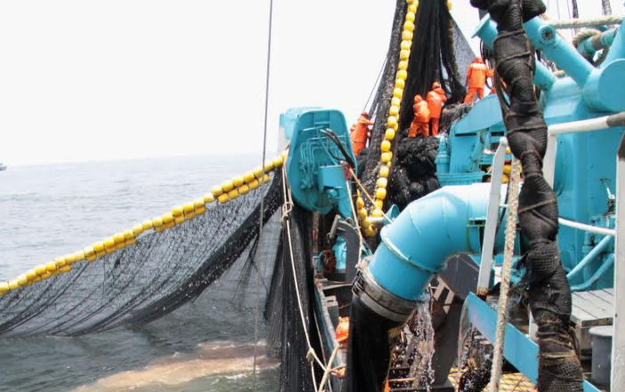 La industria pesquera colocó 45 mil toneladas de caballa en el país