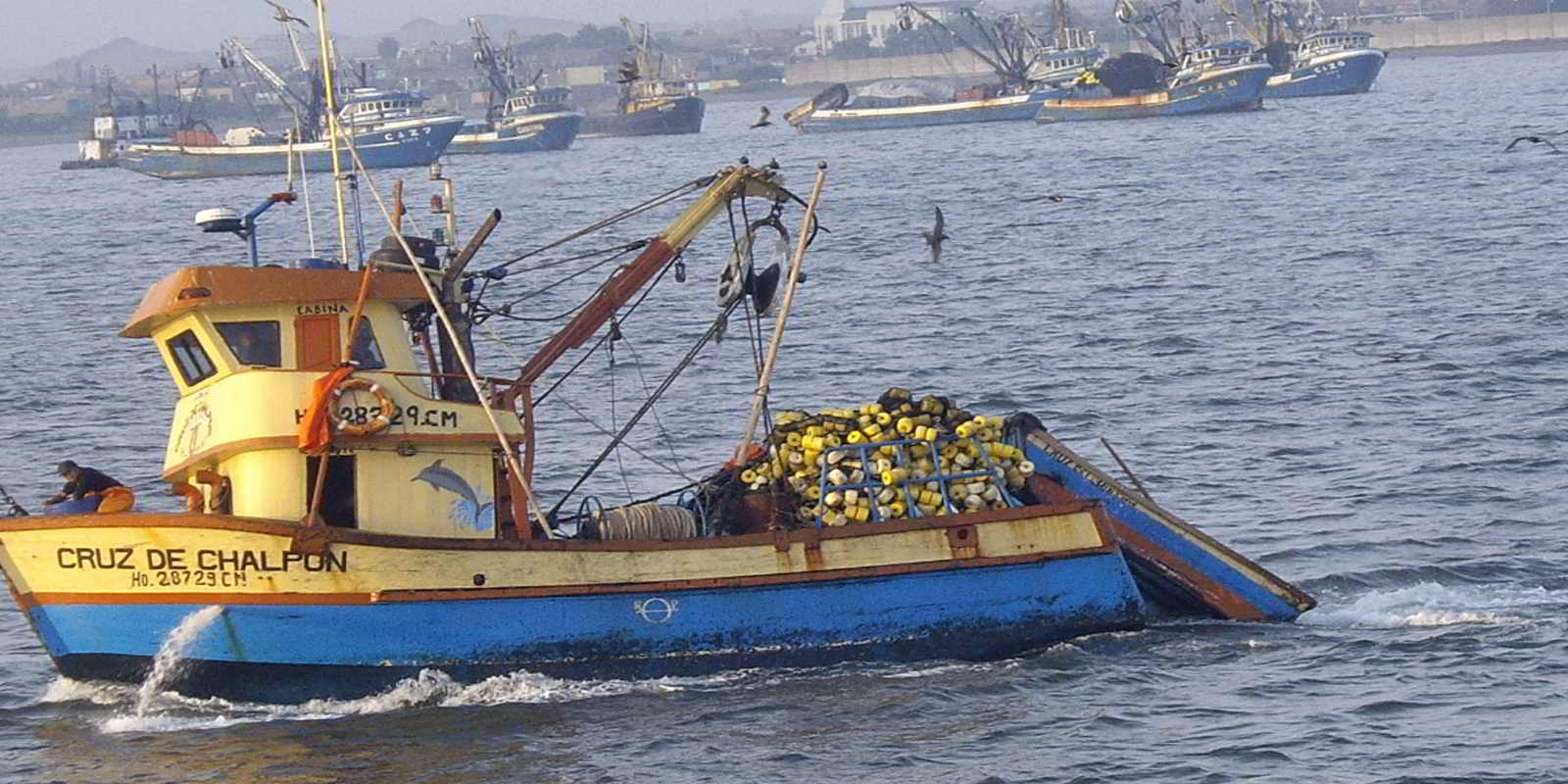 Suspenden actividades extractivas de anchoveta para salvaguardar sostenibilidad del stock