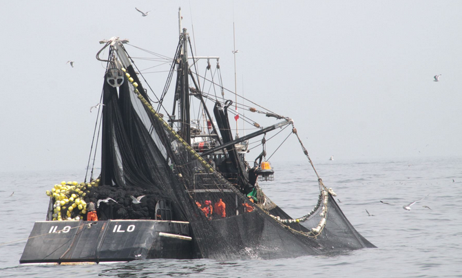 Captura de anchoveta superó las 748 000 toneladas en la región norte-centro